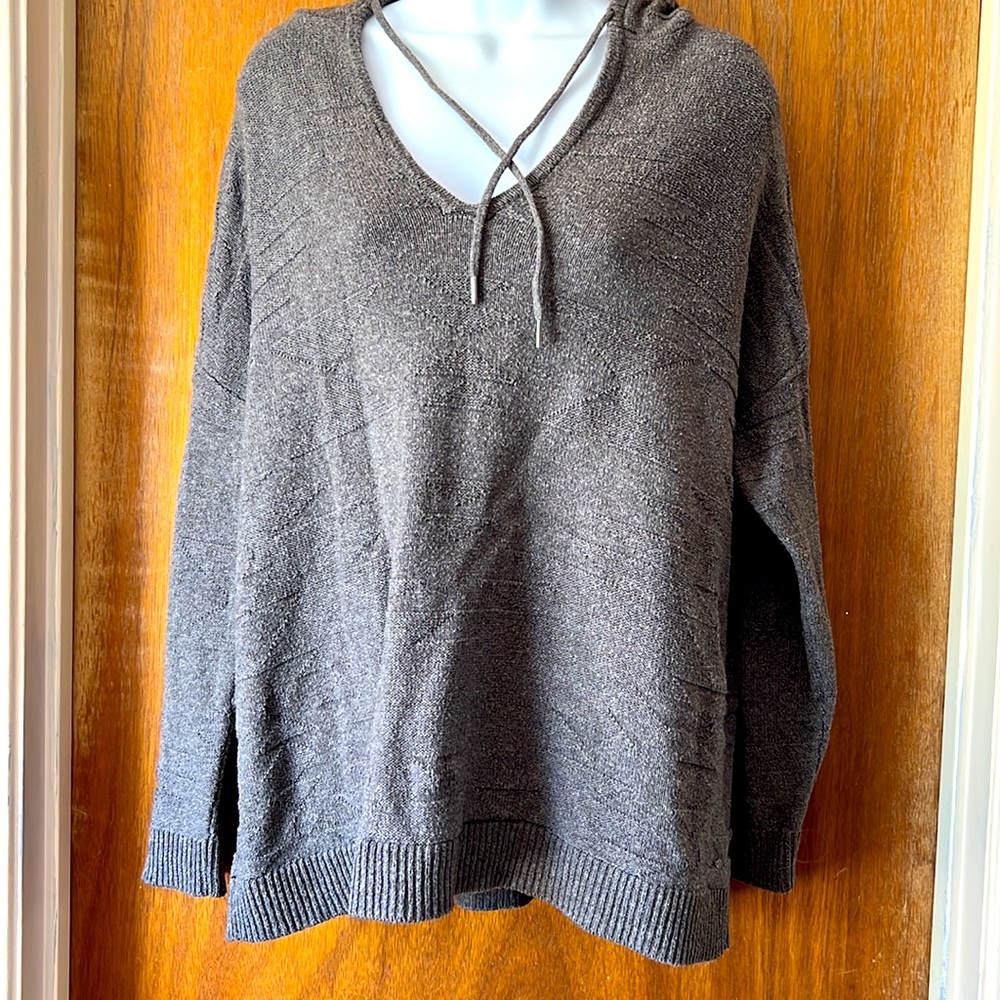 American Eagle Hooded Sweater